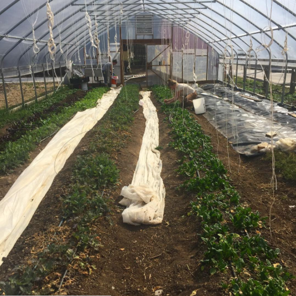 Screen Shot 2017-09-26 at 10.16.41 AM.png