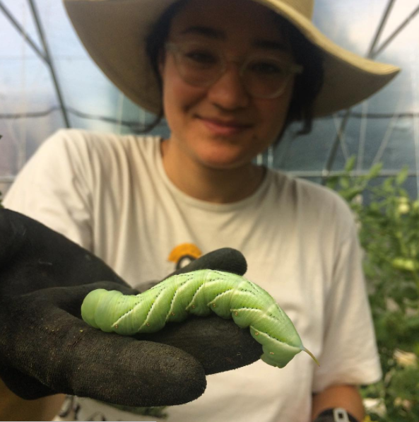 Screen Shot 2017-09-26 at 10.18.16 AM.png