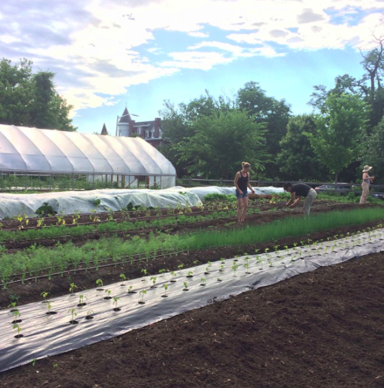 Screen Shot 2017-09-26 at 10.18.39 AM.png