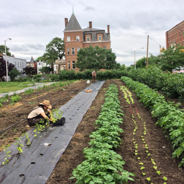 Screen Shot 2017-09-26 at 10.19.00 AM.png