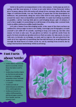 Brown and Orange Illustrative Beauty and Fashion Flyer (dragged) 1