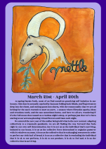 Brown and Orange Illustrative Beauty and Fashion Flyer (dragged)